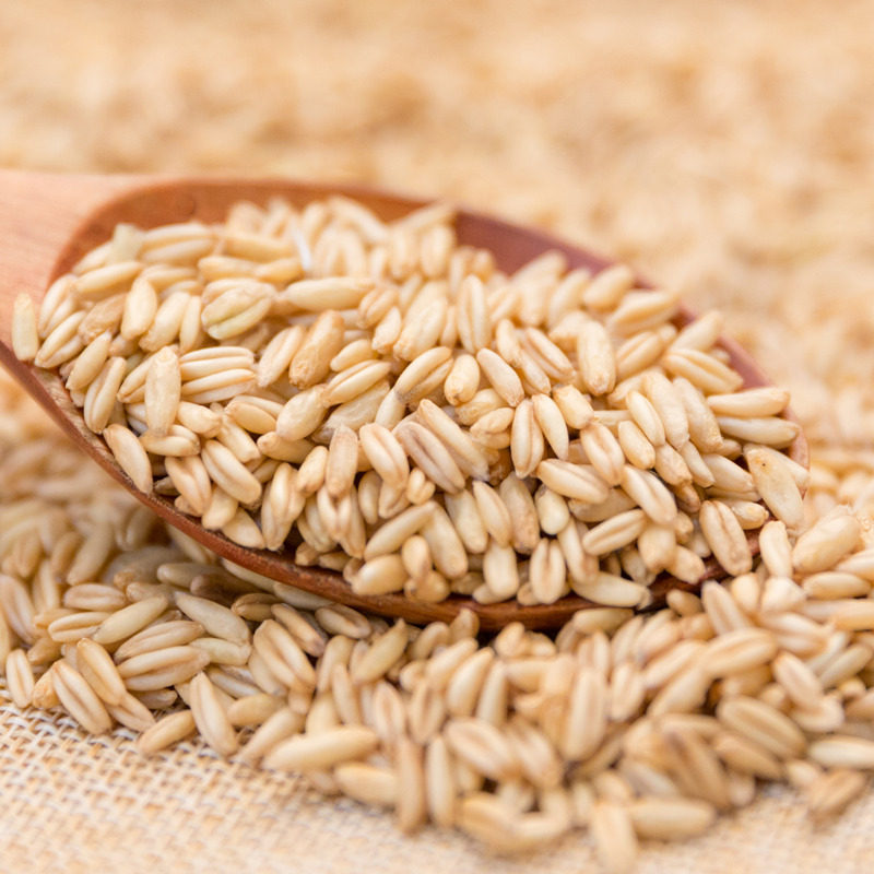 燕麦麦米500g农家自产莜麦雀麦野麦八宝米煲其它粮食