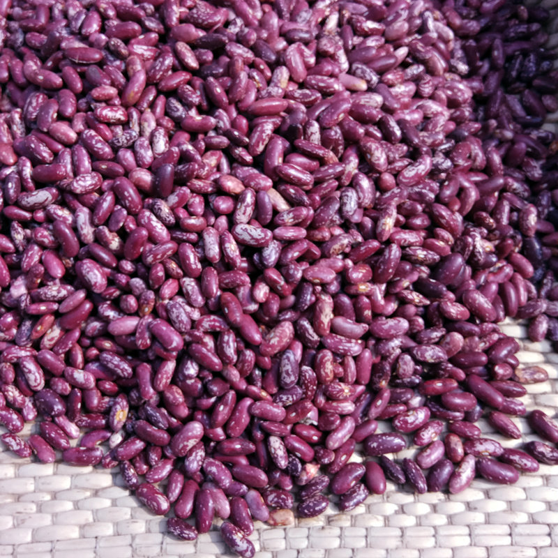 花芸豆红腰豆500g农家紫花红芸豆饭豆大红豆豇豆煲粥五谷杂粮粗粮