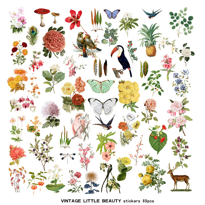 兔子家vintage手帐素材复古尺寸花朵植物图鉴55片贴纸