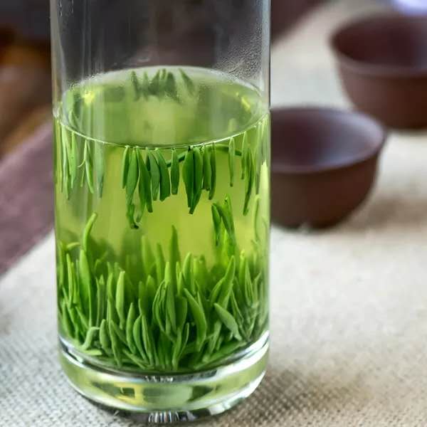 雀舌绿茶湄潭翠芽明前特级2020新茶散装贵州茶叶浓香