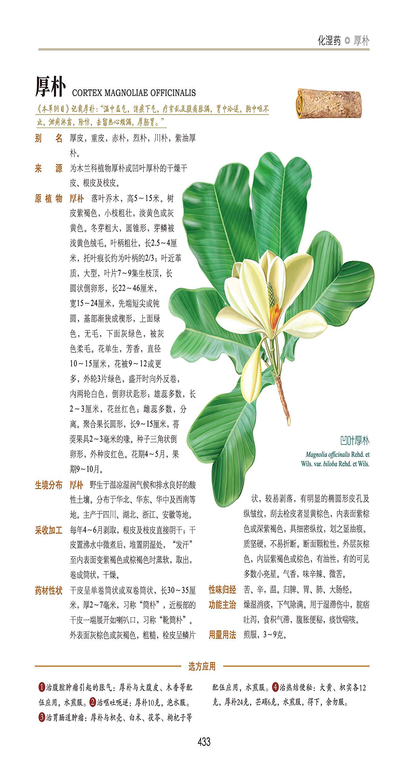 中草药中医学大全书籍中国花谱图鉴专业中医