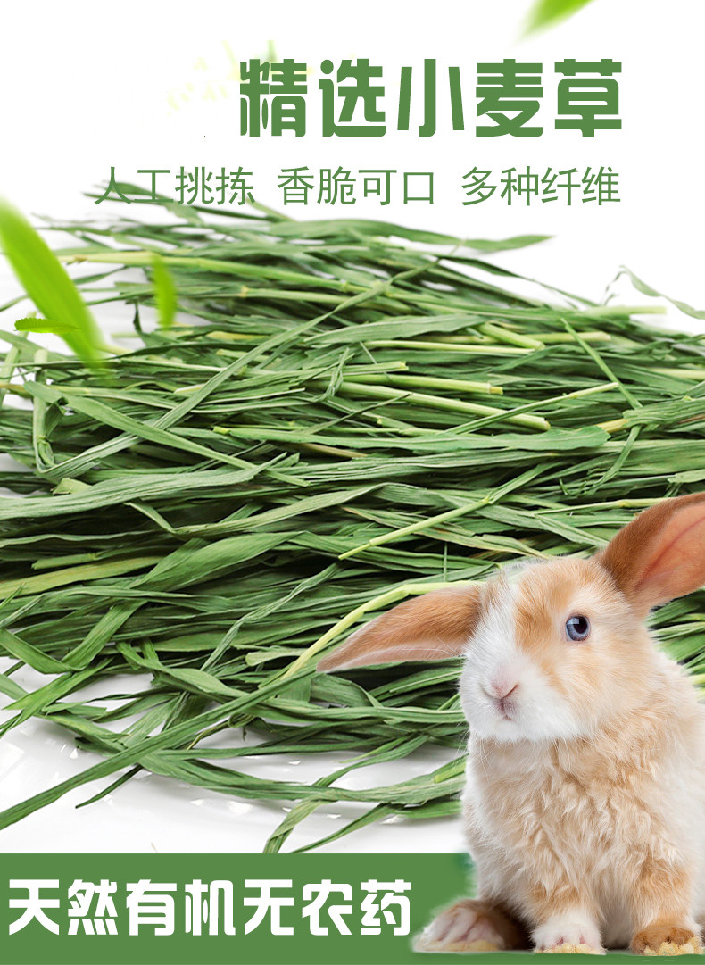 兔草小麦新草烘干营养多维兔子龙猫小麦草饲料兔兔干草