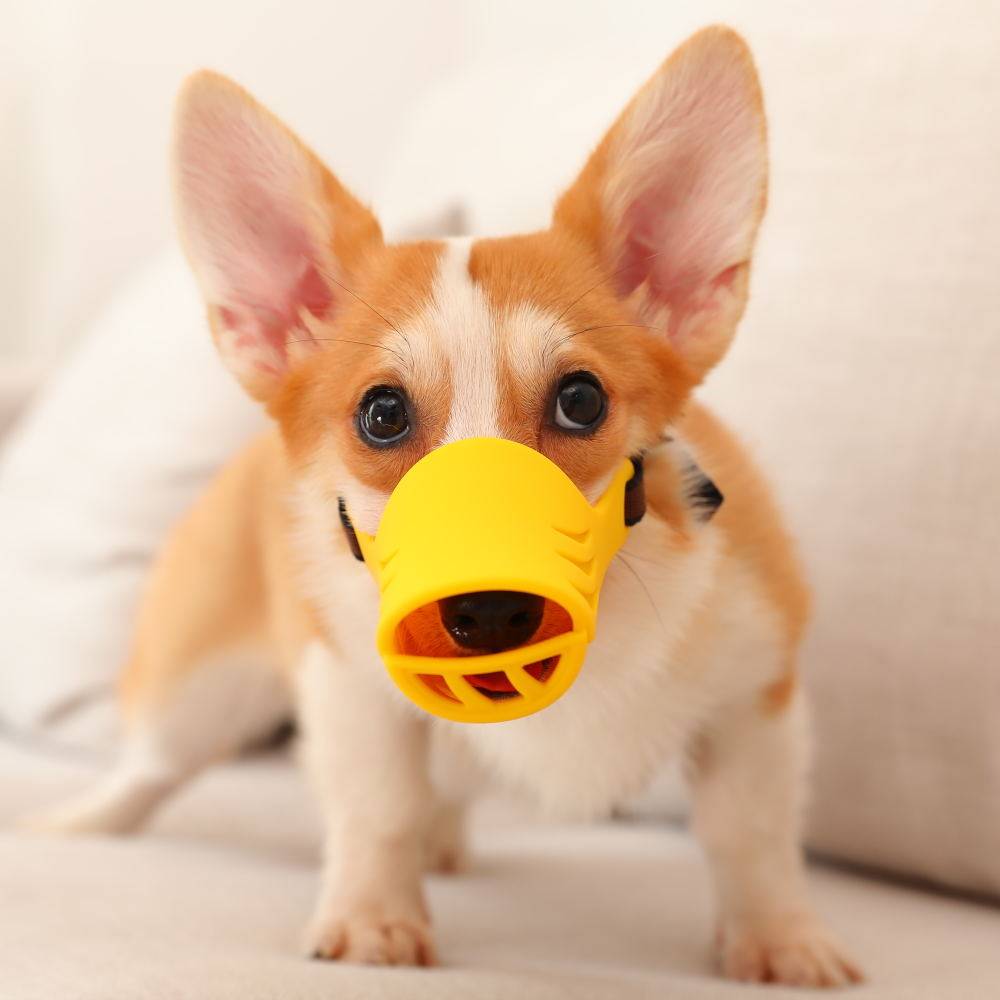 狗狗嘴套防咬叫防乱吃宠物止吠中型小型泰迪狗嘴套