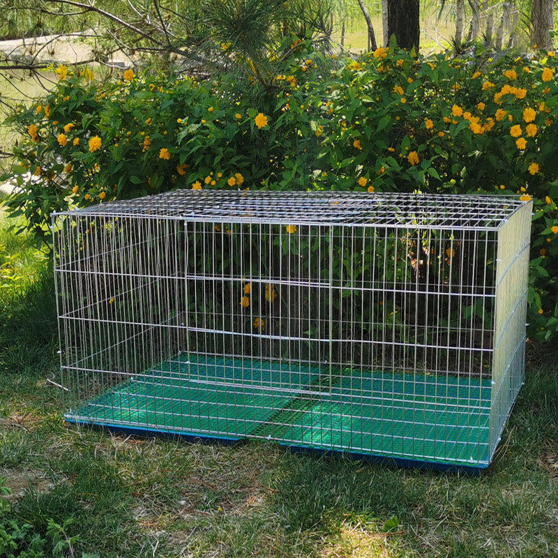 鸡笼加密加粗镀锌铁丝鸽子笼兔鸟笼运输养殖笼子