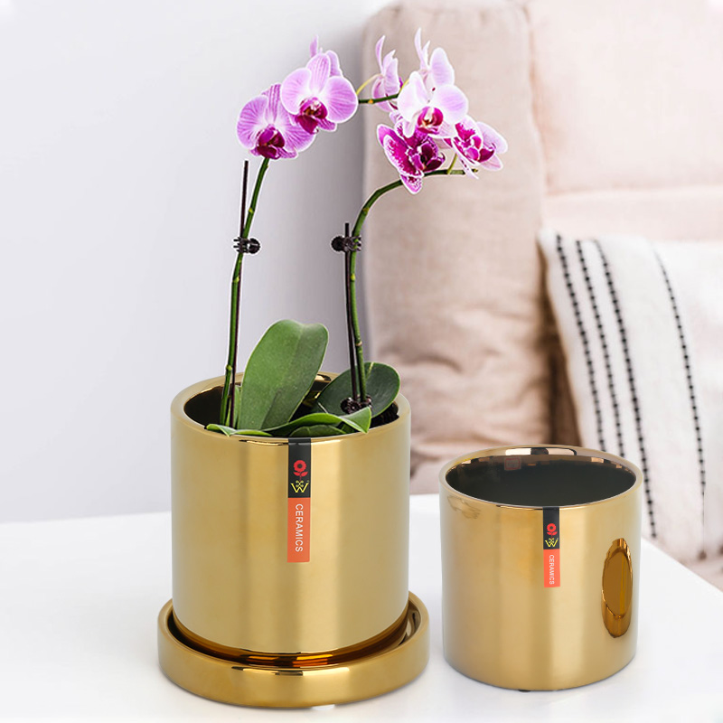 北欧蝴蝶兰陶瓷花盆小花透气兰花蝴蝶简约家用花盆