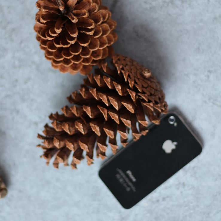 松果干花松塔超大圣诞装饰品diy手工材料松球干花