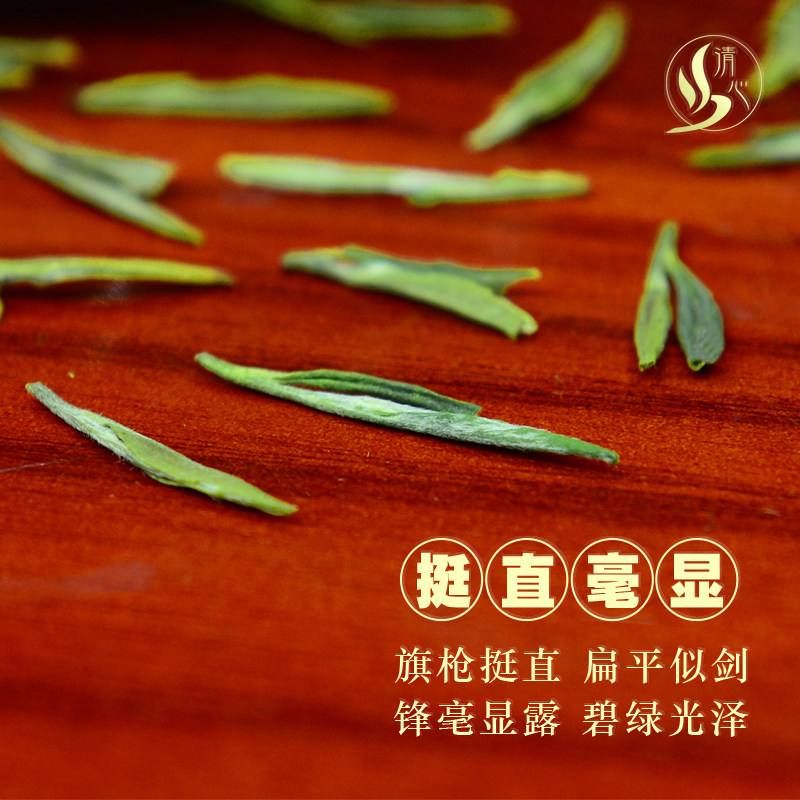 100g潜山天柱山剑豪茗茶罐装明前特级绿茶天柱剑毫2022年新茶叶