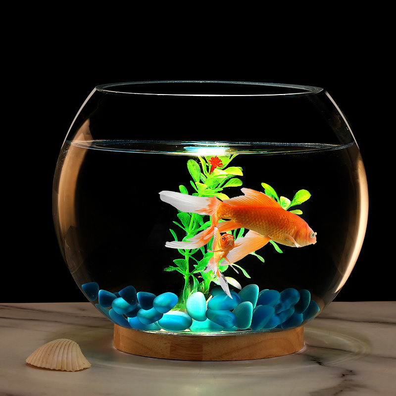 加厚孔雀玻璃鱼缸办公桌面圆形小型创意斗金鱼缸客厅夜灯迷你摆件-mc