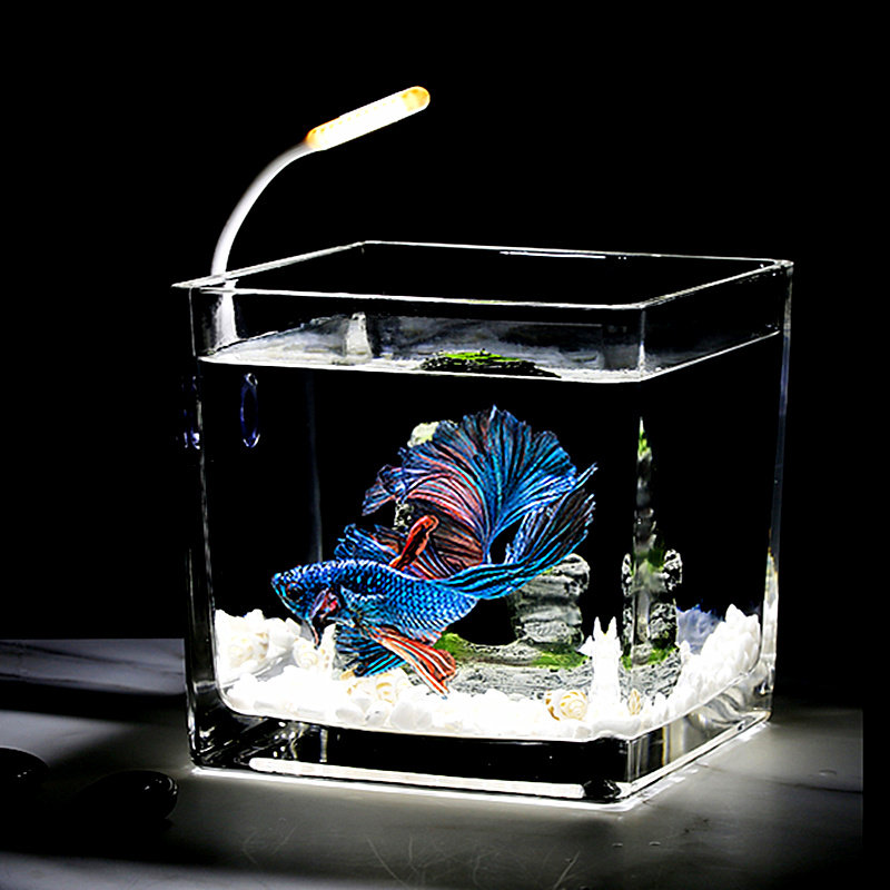 鱼缸小鱼金鱼缸迷你生态玻璃水晶家用创意家创意鱼缸