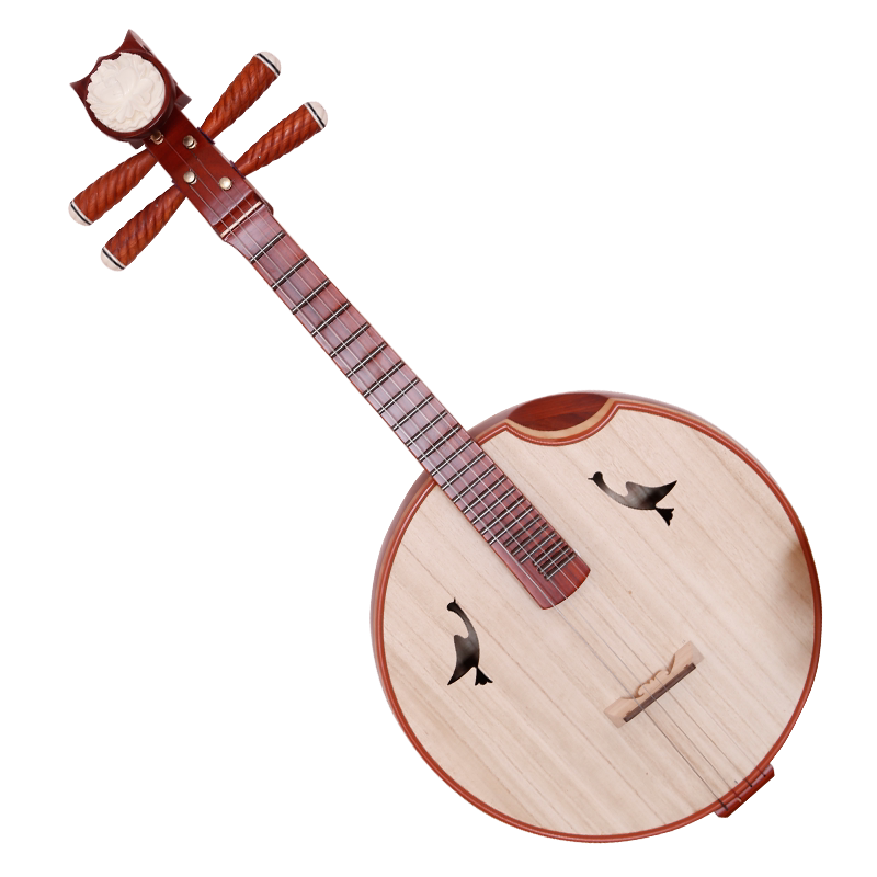 图三:普及椿木小阮大阮民族弹拨专业中阮