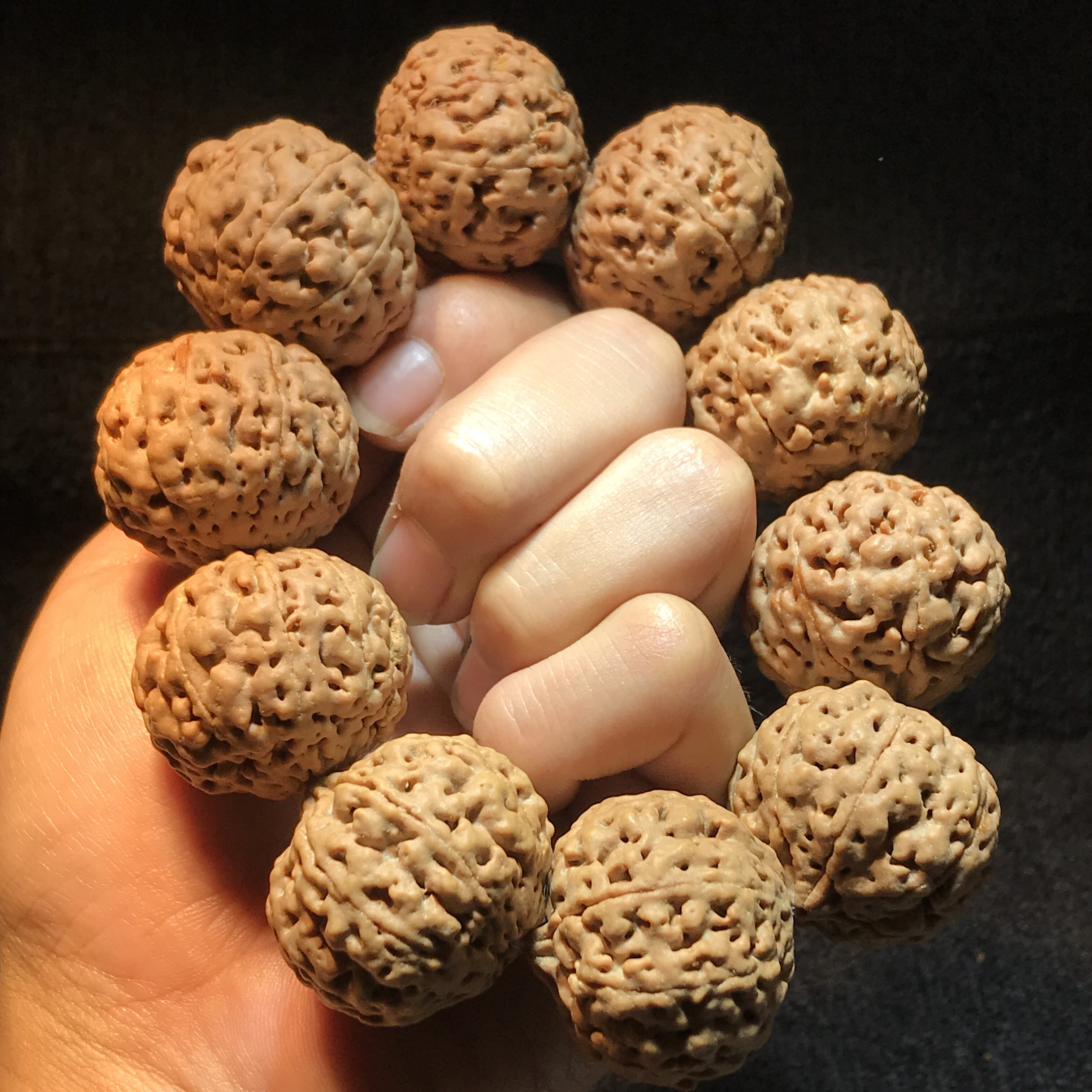 金刚菩提子手串爆肉789瓣黄皮蜂王原籽男无齿矮桩双龙大手链念珠