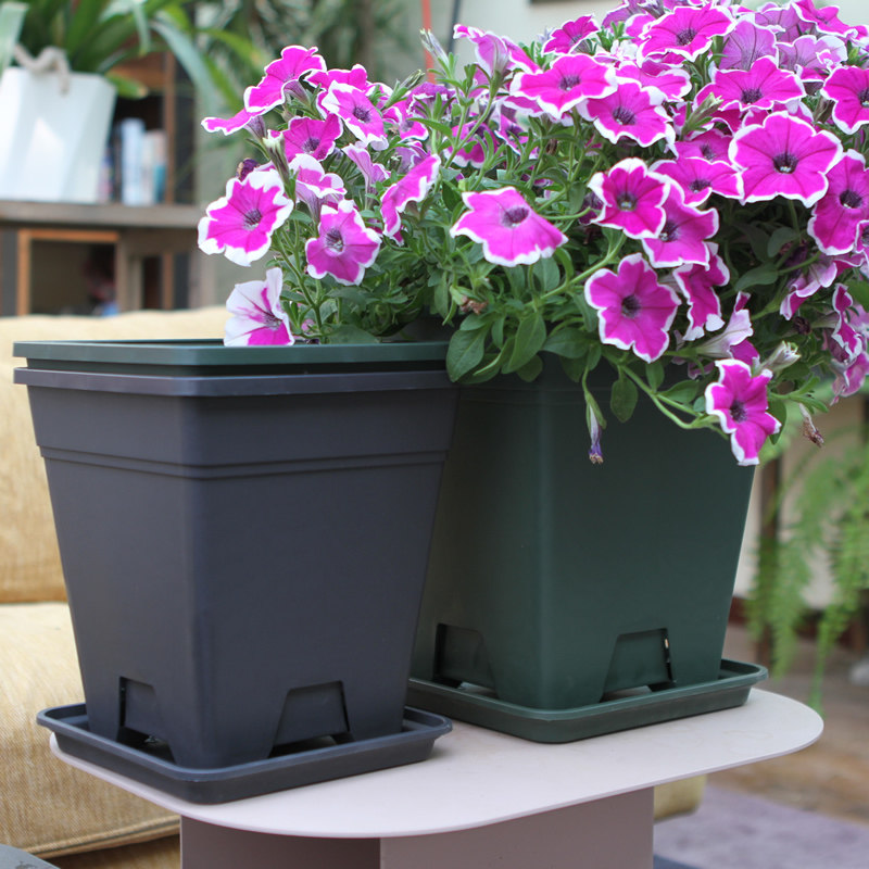 花盆方形塑料青山控根盆加厚月季月季花种植透气花盆