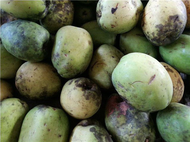 木瓜果脯包邮腾冲太极保鲜云南酸甜甜味120g桃干