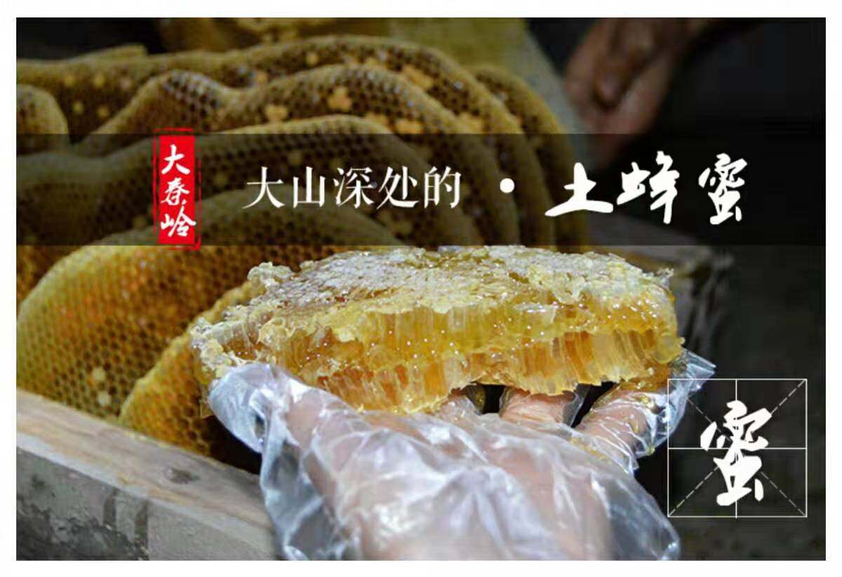 大凉山盐源高原深山正宗野生土蜂蜜蜂蜜一斤包邮