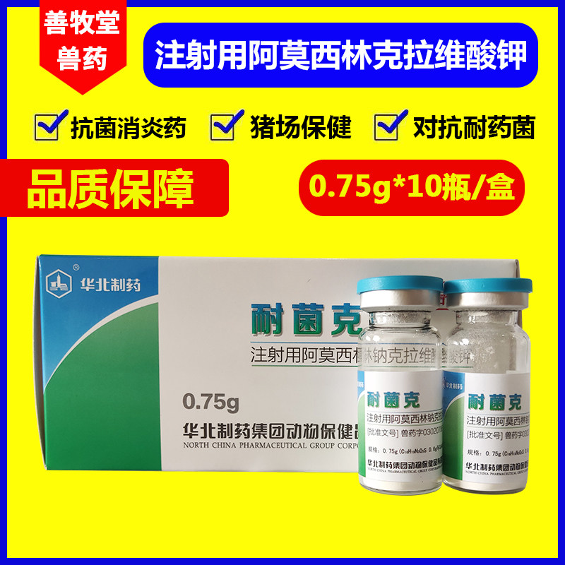 兽药华北阿莫西林克拉维酸粉针抗菌消炎牛羊畜牧药品