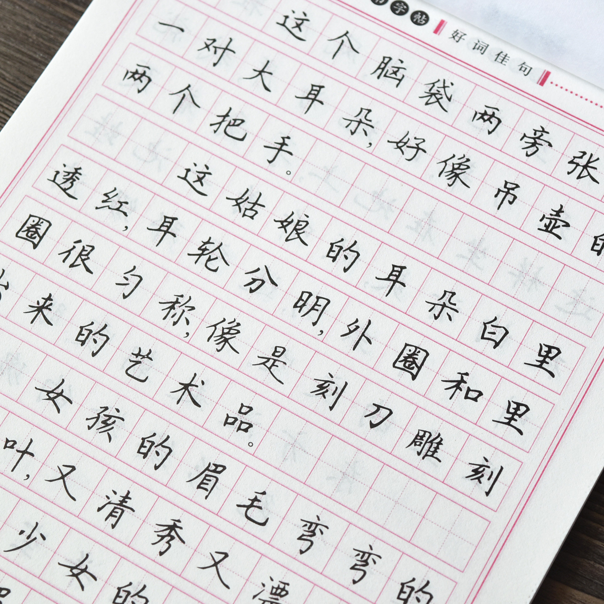 字帖硬笔楷书成人中小学生钢笔练字描红临摹好词练字帖