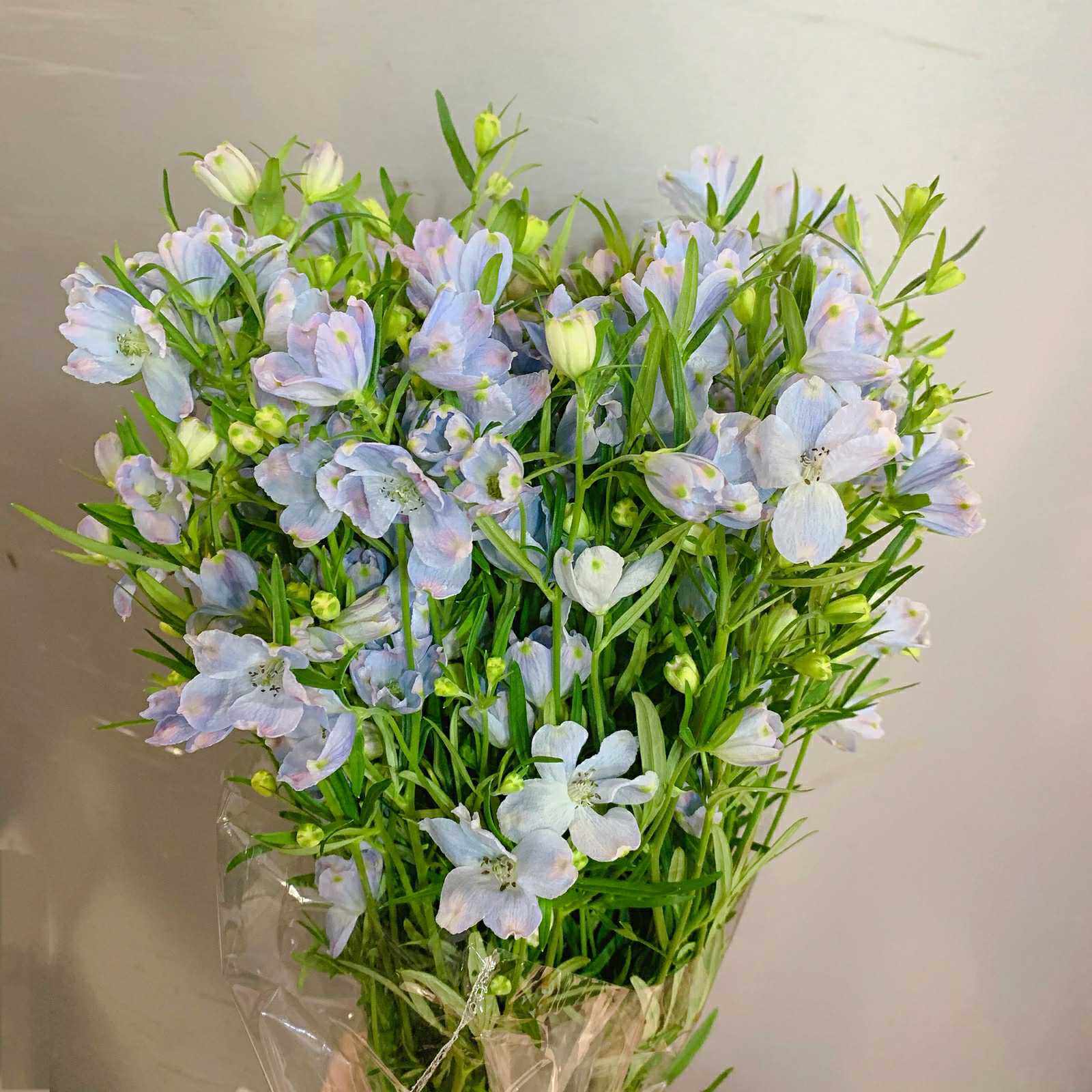 斗南小镇故事大飞飞燕小飞燕鲜花办公插花婚礼鲜花速递(同城)