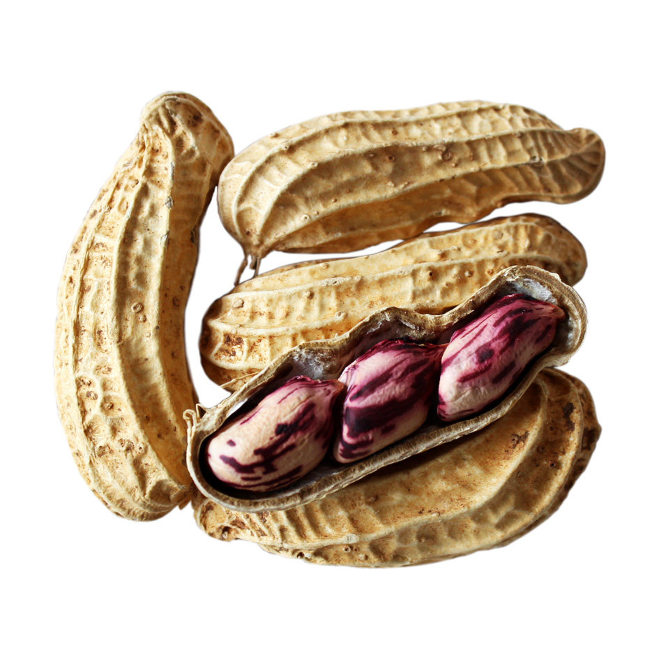 花生云南七彩七彩花野地红皮包邮水果甜味带壳花生