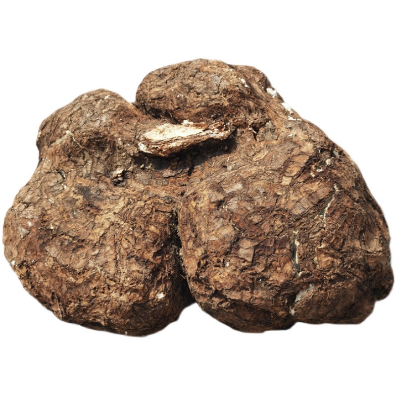 茯苓云南野生无硫中药材带皮整个新鲜2斤茯苓