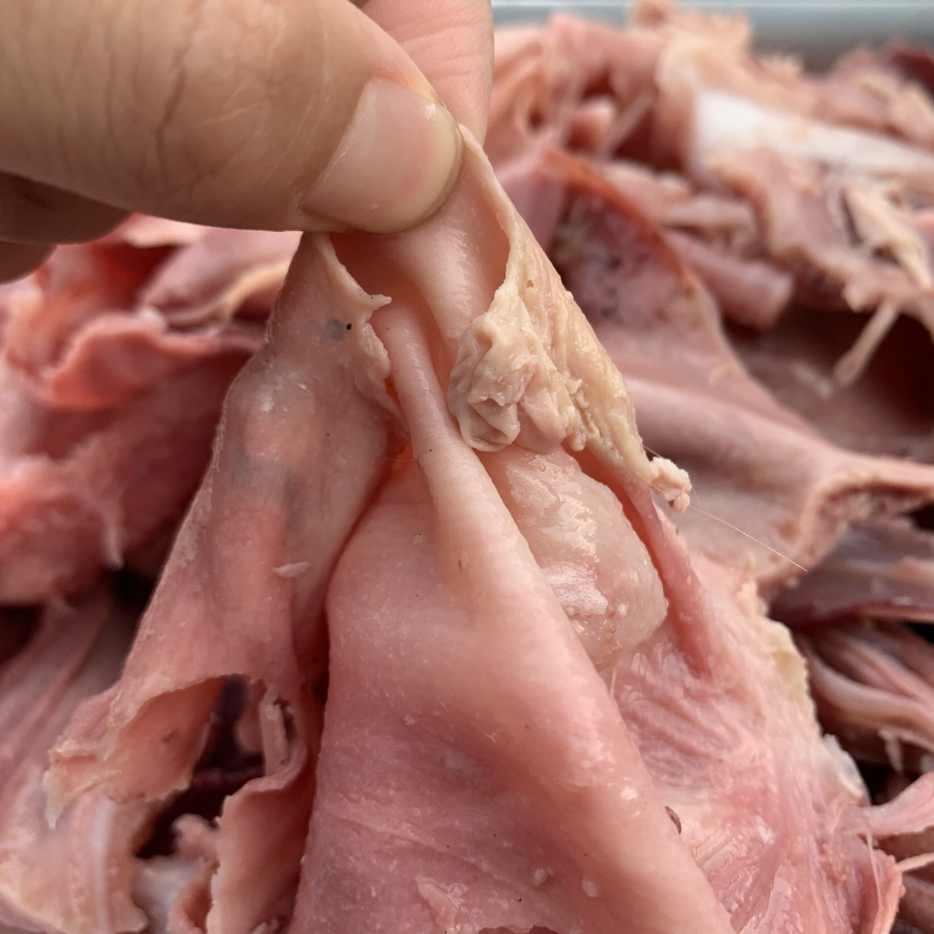 牛鼻本地新鲜黄牛鼻须肉牛杂类全熟1斤价格牛杂