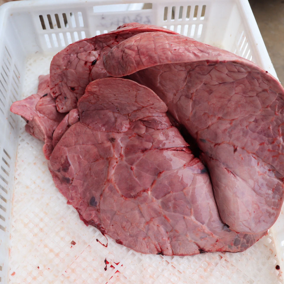 包邮1斤 新鲜牛肺 生牛肺6斤 新鲜生牛肺 牛杂 黄牛牛肺 - 痕风的起点