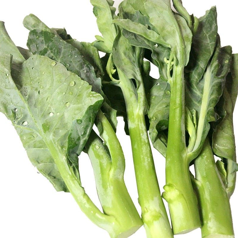 芥蓝种子冬季播种芥兰菜农家菜园种植耐寒蔬菜种孑四季播种菜种籽