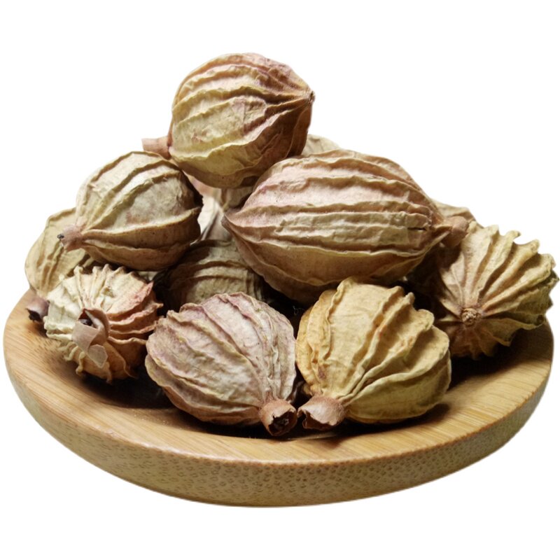 香砂调料香料蔻粉草草香茅胡椒白胡椒沙仁砂仁花椒