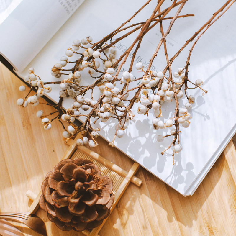 小白白果干花diy圣诞装饰天然乌桕森系手工干花