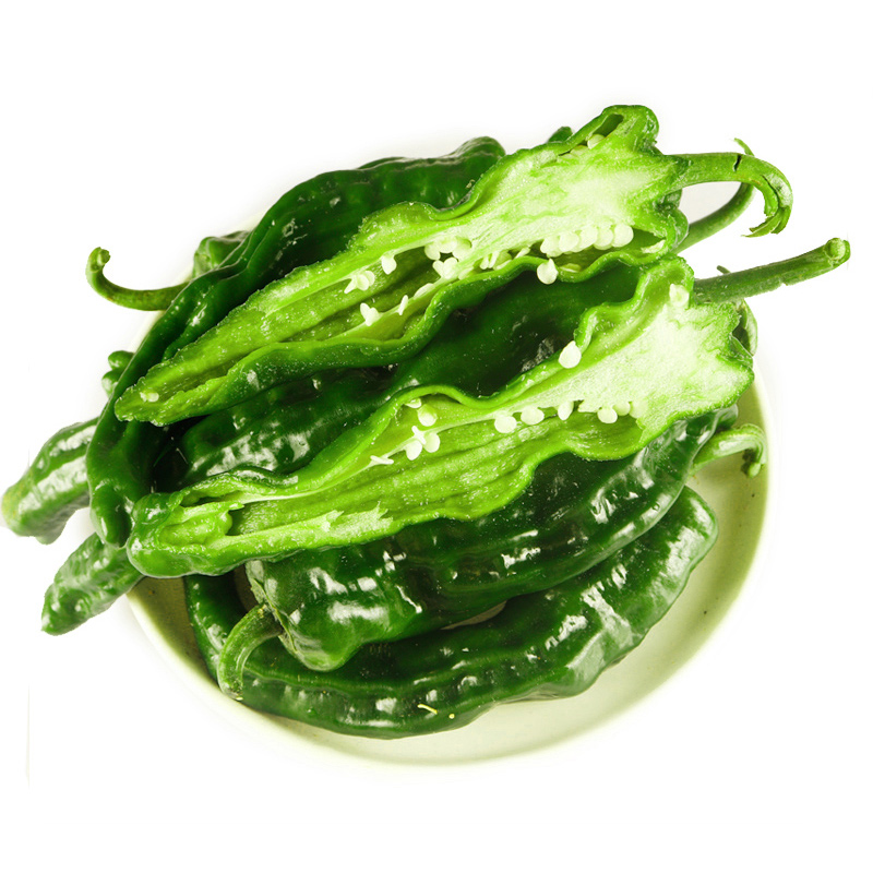 特辣皱皮辣椒山东枣庄新鲜薄皮螺丝农家蔬菜辣椒