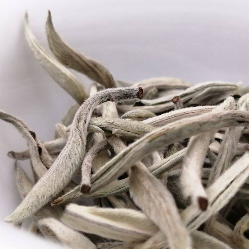 云南南普洱白毫银针月光白芽清香甘甜散茶500克普洱