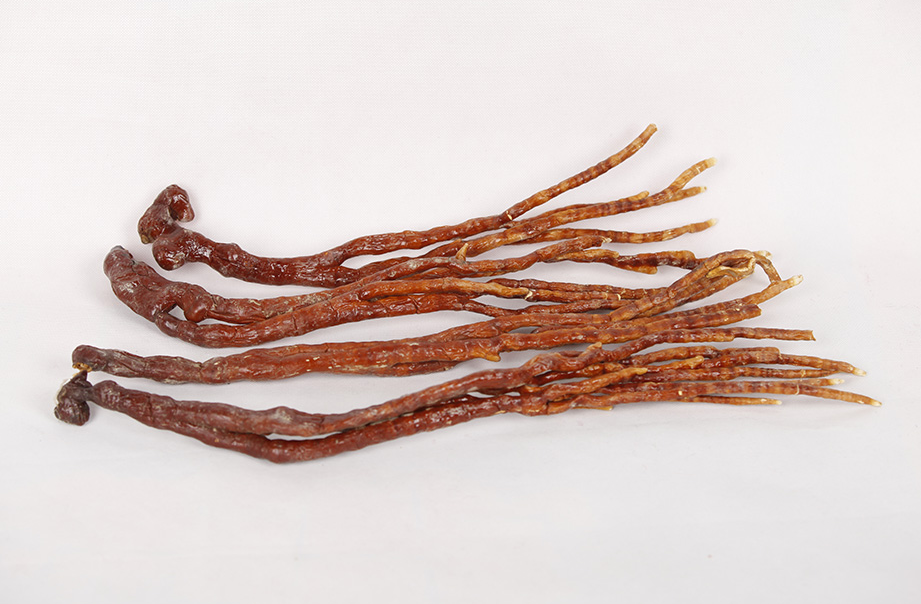 灵芝佛手西藏野生仙草干品整根整枝灵芝