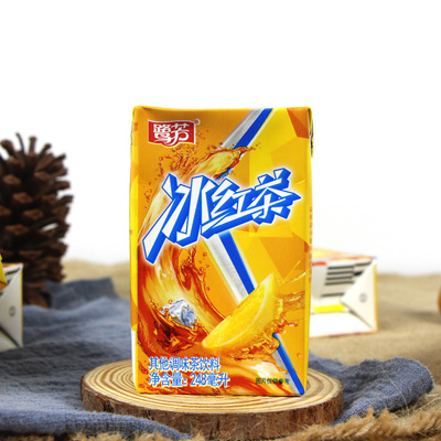 冰红茶福建厦门尔康鹭芳248mlx16休闲解渴夏季饮品茶饮料