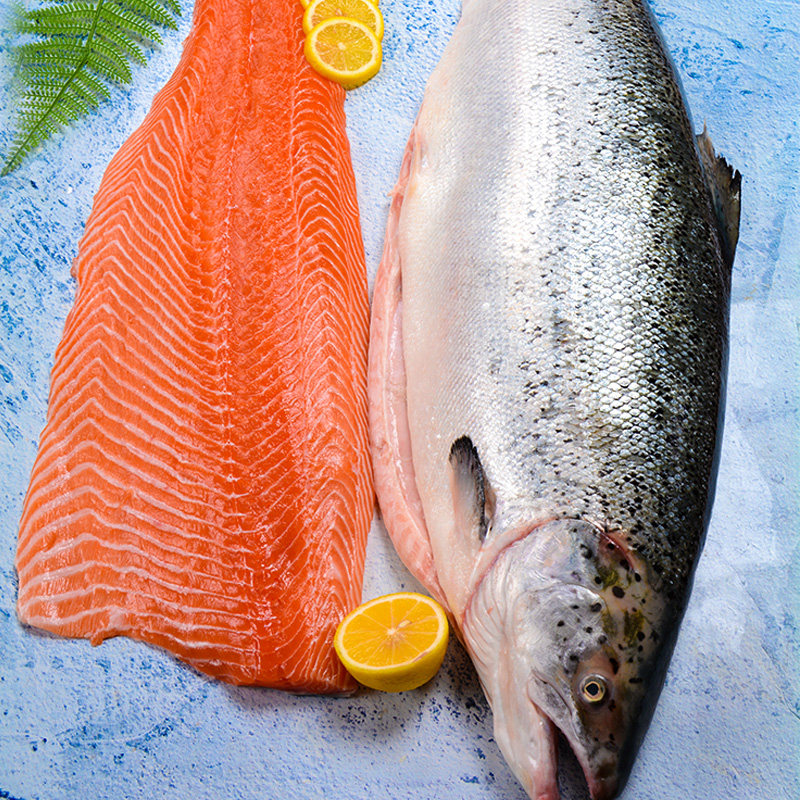 三文鱼整条挪威进口12斤日料寿司新鲜鱼片冰鲜三文鱼