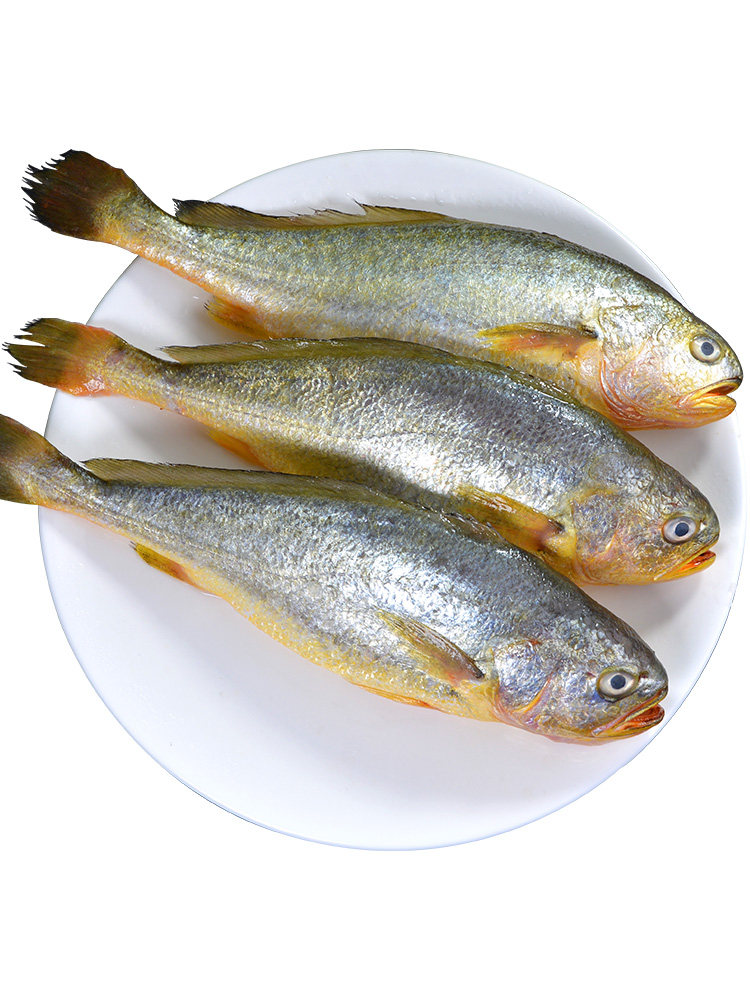 黄花鱼青岛新鲜大黄黄鱼冷冻冰冻海鱼鲜活海鲜黄鱼