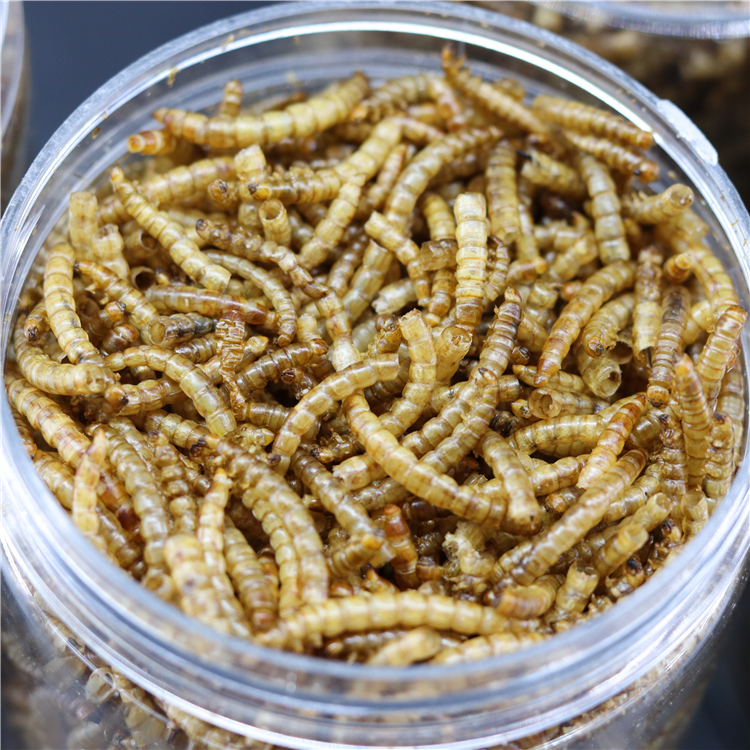 黄粉虫干面包虫仓鼠粮食刺猬营养食物小龟零食玩具