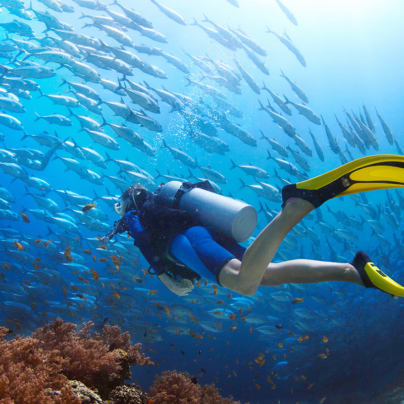 潜水蜈支洲门船票高级进阶排队上下体验不同国内票务