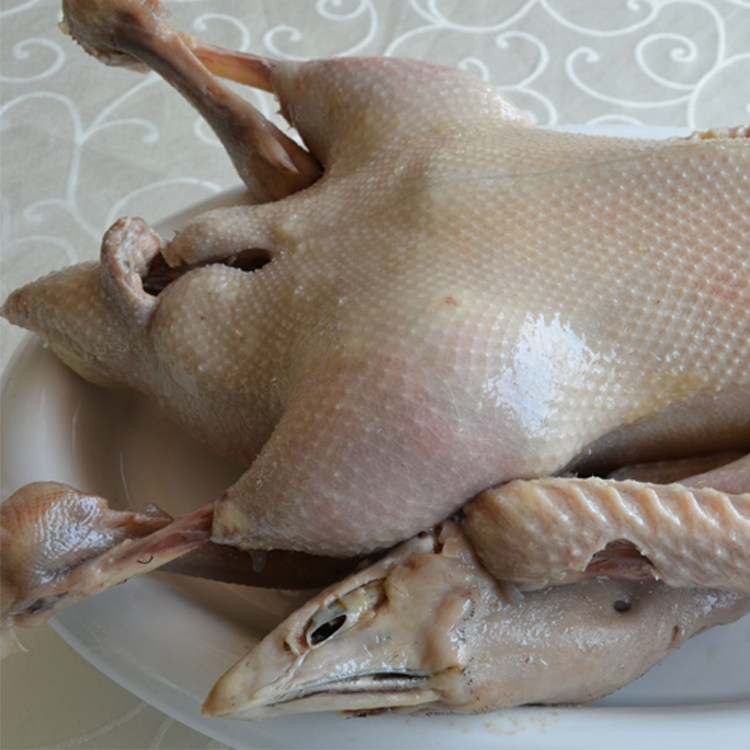 老鹅农家散养老鹅土鹅大白鹅新鲜鹅肉笨鹅草鹅活鹅现杀大鹅