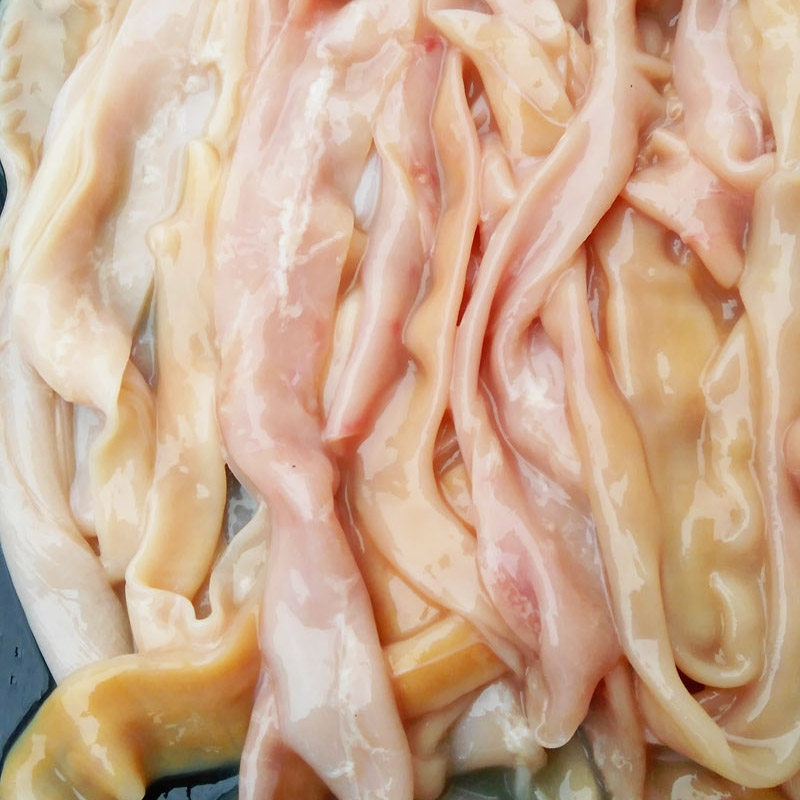 三根起拍 四川火锅食材 鹅肠 抠生鲜九尺鲜鹅肠 冰鲜鹅肠12元/根