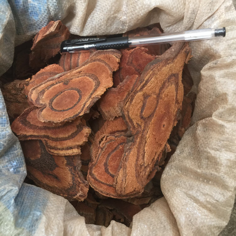 大血藤 野生脑血通片 红藤 大血通干片农家自采野生中草药500g