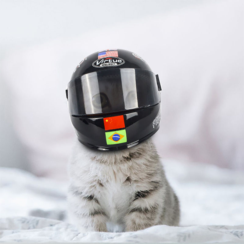 猫咪头盔帽子夏天搞怪摩托车机车搞笑拉风宠物头盔