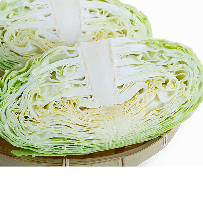 露天种植扁包扁平包包新鲜蔬菜台湾高丽菜莲其它