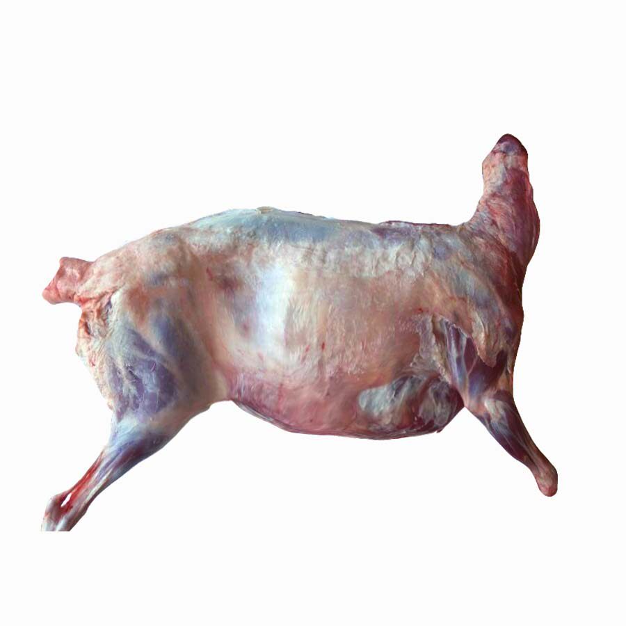 25斤全羊羊肉新鲜内蒙古呼伦贝尔羔羊现杀包邮生羊肉