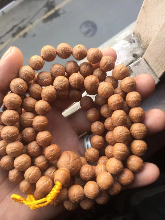 尼泊尔凤眼菩提精品佛珠手串配饰饰品直播间专拍佛珠