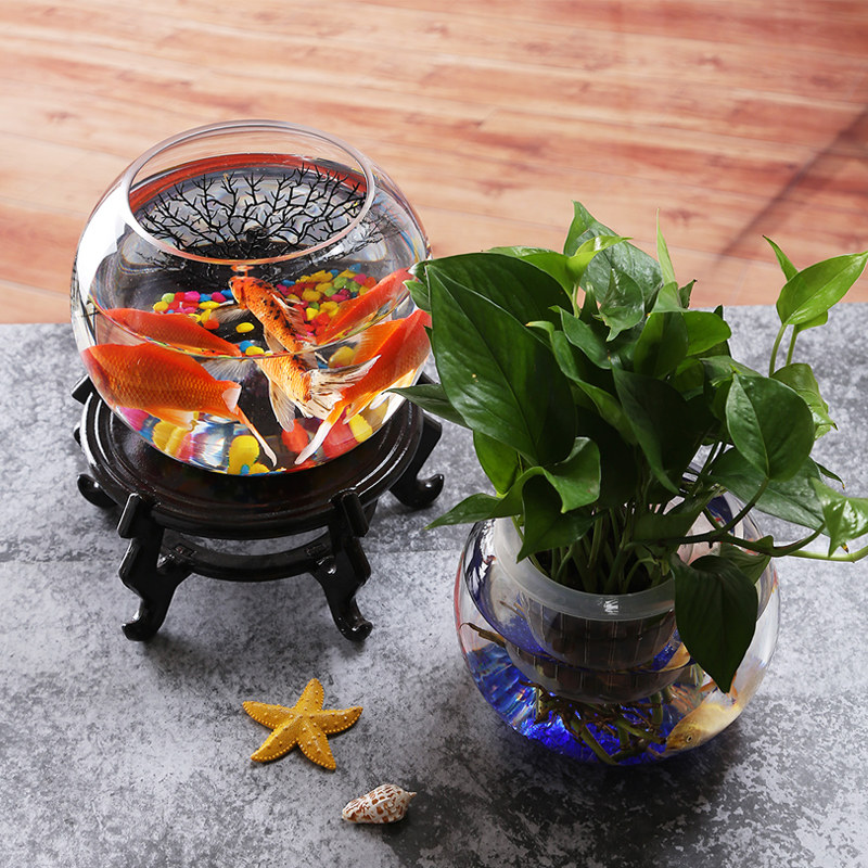 水培定植物玻璃摆件水养鱼缸插花干花办公室阳台绿萝篮花瓶