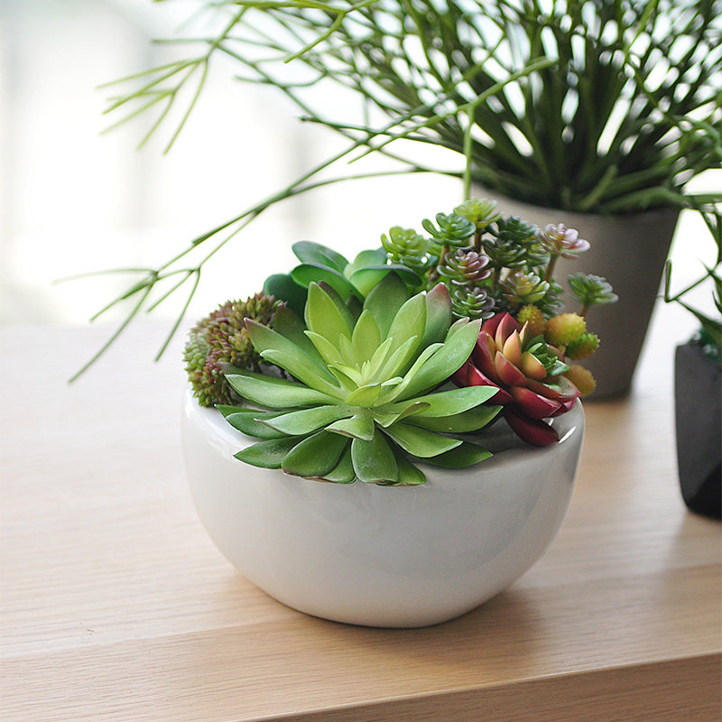 仿真多肉组合盆栽自然风格假植物桌摆装饰品陶瓷盆套装 art283