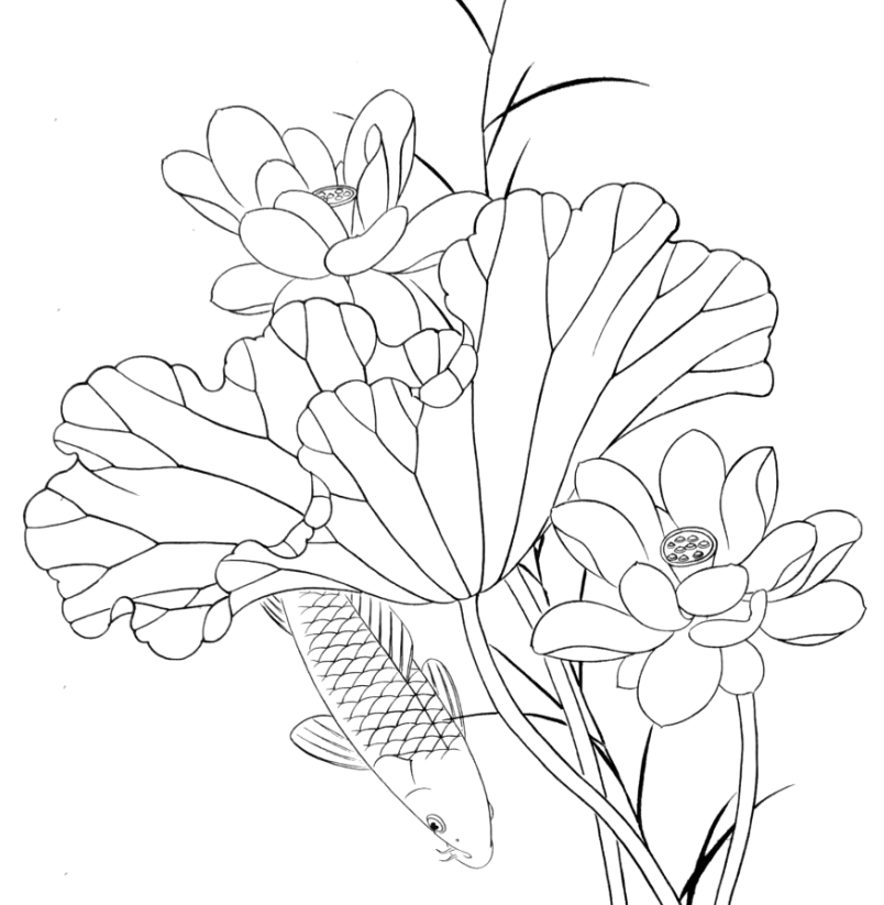 工笔画底稿路雨年4尺荷花鲤鱼竖幅参考白描打印稿国画