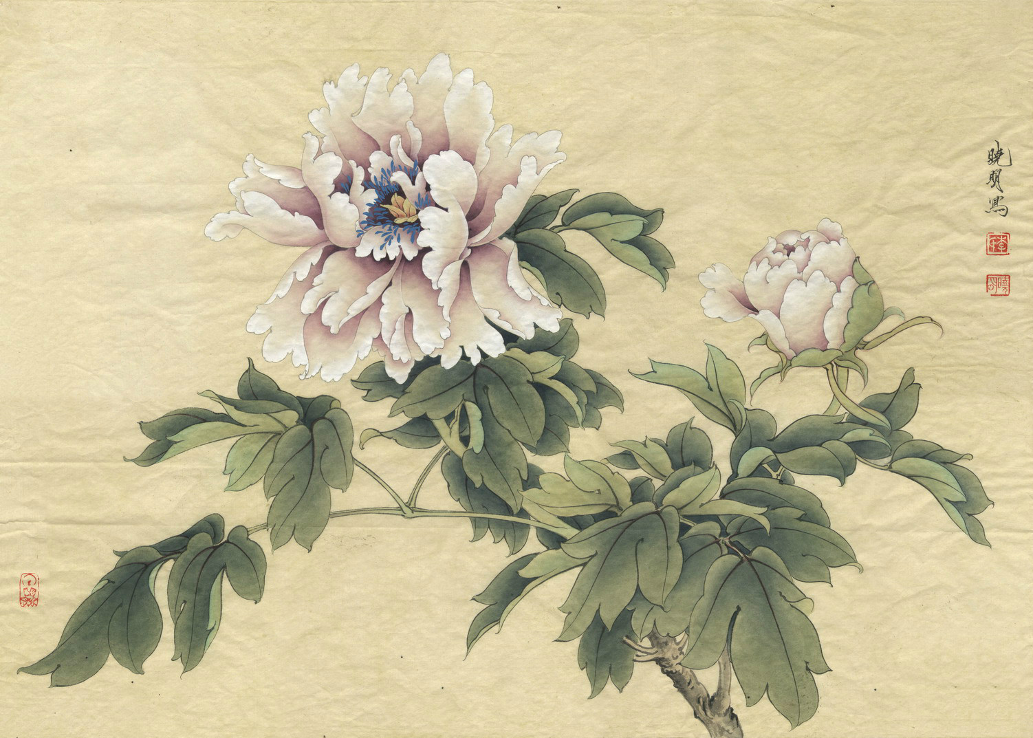 工笔画底稿临于非暗牡丹白描打印稿宣纸有步骤文字国画