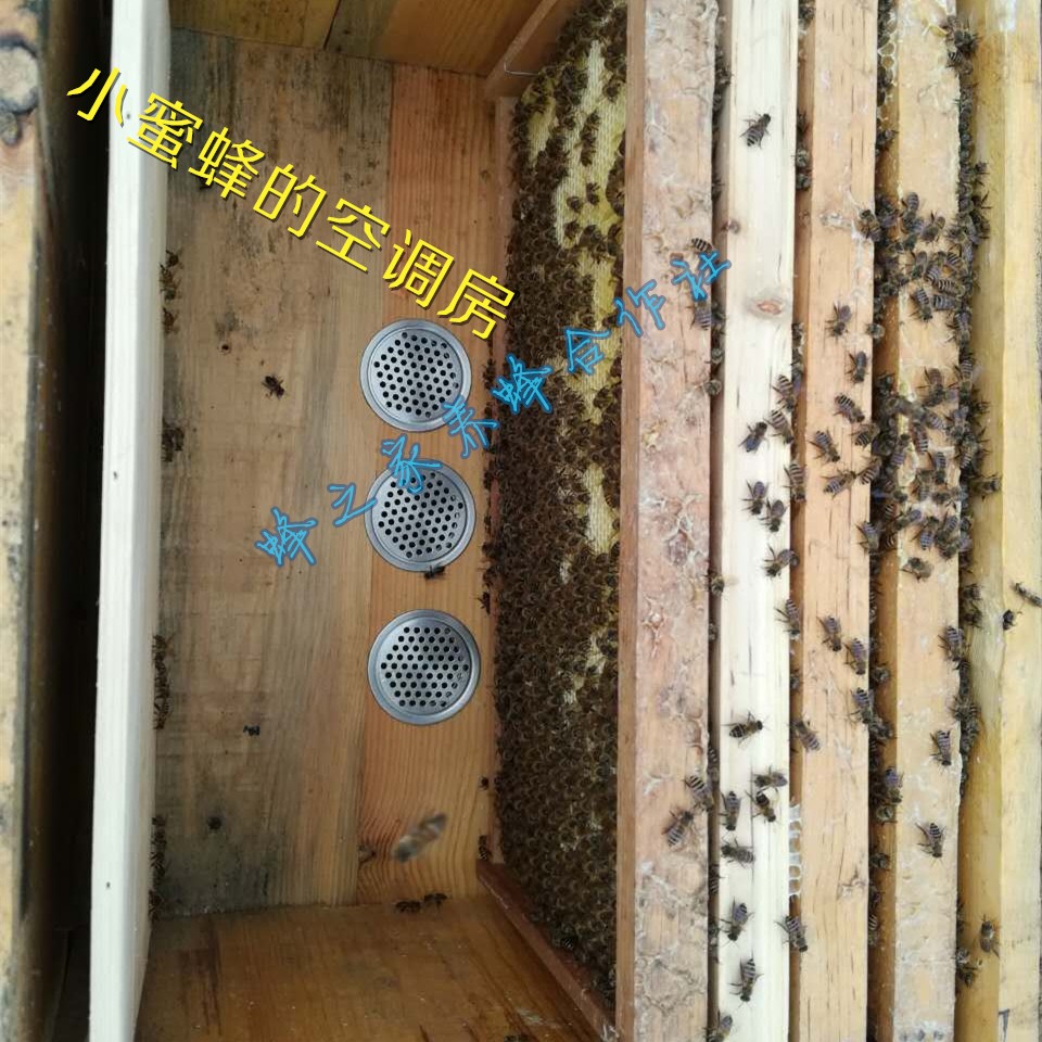蜂箱通气孔通风口中蜂意蜂蜂箱通风口蜜蜂降温不锈钢通风口包邮
