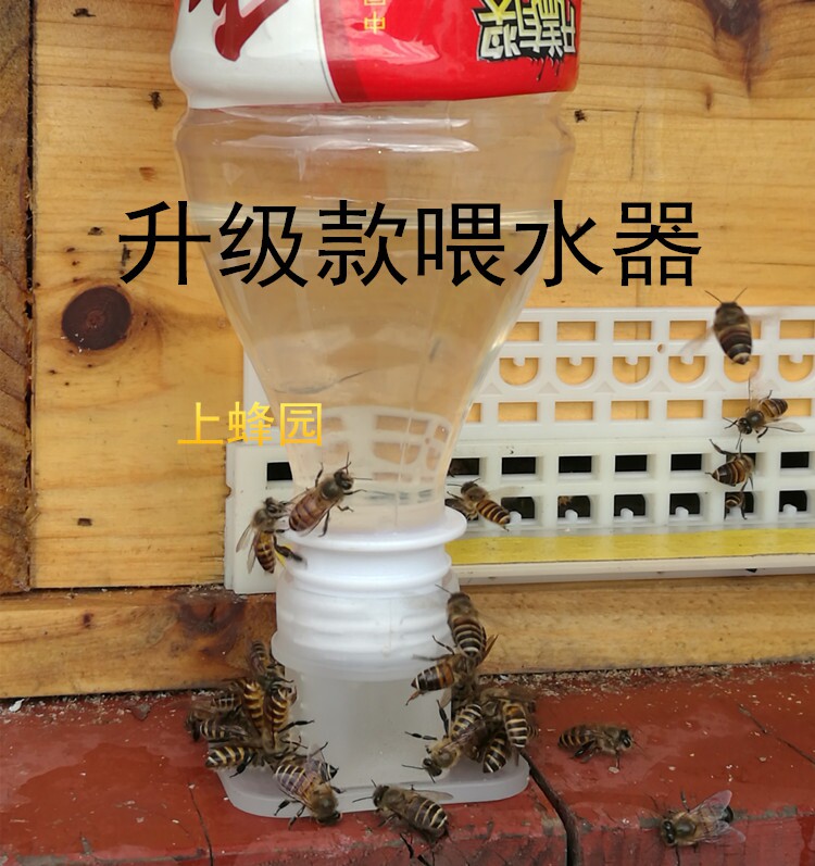 蜜蜂喂水器自动饲喂器中蜂饮水喂食器蜂箱喂糖器养蜂工具20个包邮