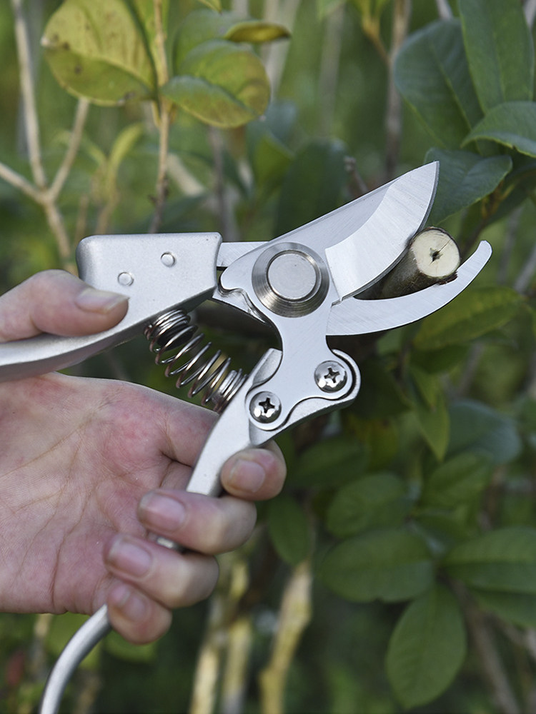 剪刀花艺粗枝剪修修枝树枝果枝果树花剪园艺剪刀